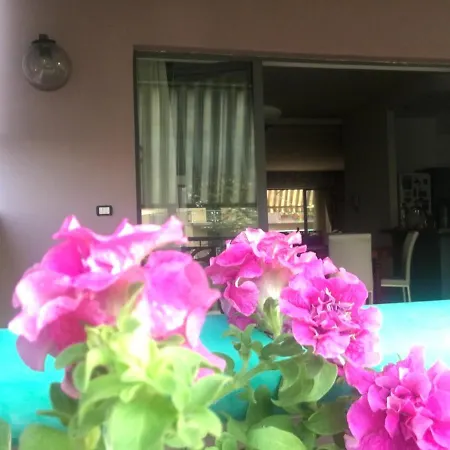 Be My Guest